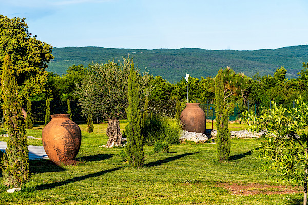 Villa Antea Garden