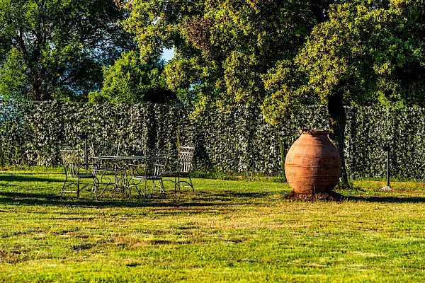 Villa Antea Garden